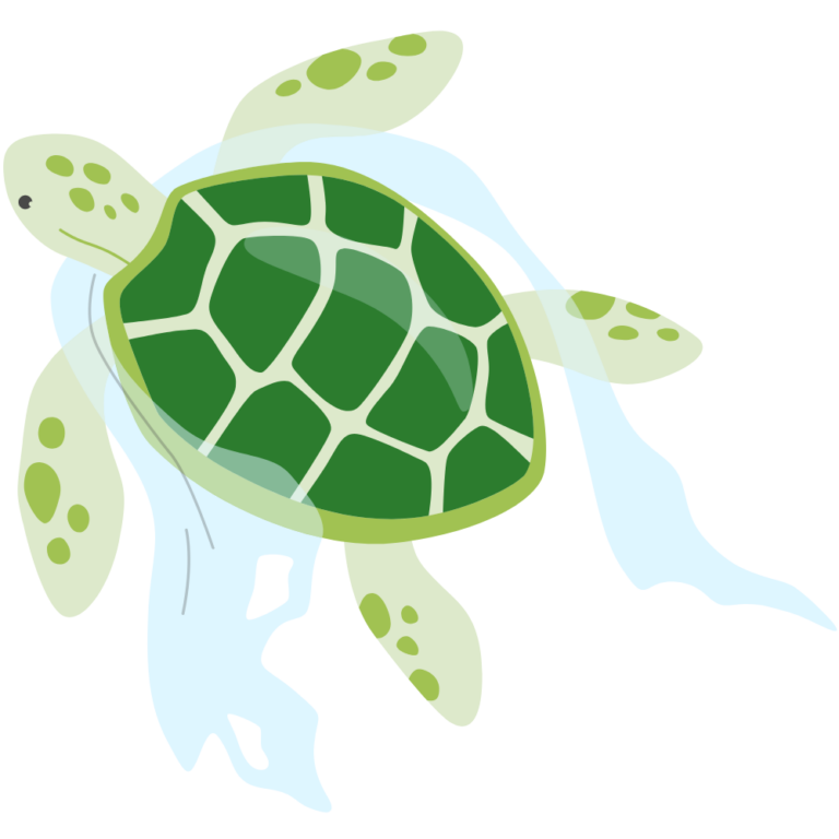 Lire la suite à propos de l’article Plastique : un danger pour l’environnement ? 🌏