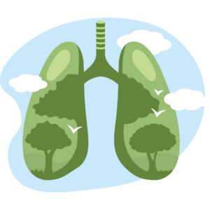 Lire la suite à propos de l’article Journée internationale de l’air pur 🌬